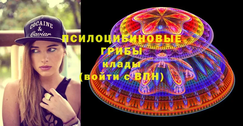 кракен вход  Цоци-Юрт  Псилоцибиновые грибы Cubensis  купить наркотик 